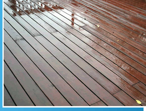 FL Deck Pressure Washing Services